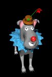 clown_binko_blooming_mb.gif