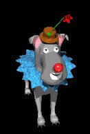 clown_binko_blooming_lc.gif