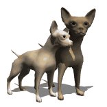 chihuahuas_rubbing_ne_a_lw.gif