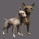 chihuahuas_rubbing_ne_a_lc.gif