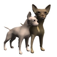 chihuahuas_rubbing_ne_a_hr.jpg