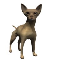 chihuahua_wag_tail_hr.jpg