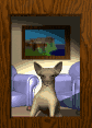 chihuahua_in_window_mc.gif