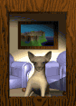 chihuahua_in_window_mb.gif