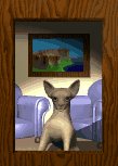 chihuahua_in_window_lc.gif
