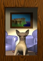 chihuahua_in_window_hr.jpg