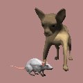 chihuahua_barking_at__a_mc.gif