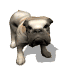 bulldog_wagging_tail_sw.gif