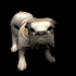 bulldog_wagging_tail_sb.gif