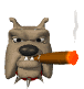 bulldog_smoking_cigar_sw.gif