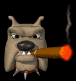 bulldog_smoking_cigar_sb.gif