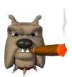 bulldog_smoking_cigar_mw.gif