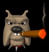 bulldog_smoking_cigar_mb.gif