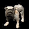 bulldog_big_barking_mc.gif