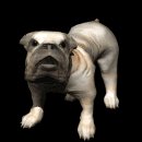 bulldog_big_barking_lb.gif