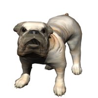 bulldog_big_barking_hr.jpg