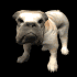bulldog_barking_sb.gif