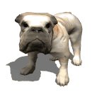bulldog_barking_lw.gif