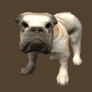 bulldog_barking_lc.gif