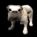 bulldog_barking_lb.gif