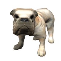 bulldog_barking_hr.jpg