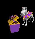 binky_surprised_by_ji_a_mc.gif