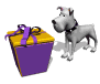 binky_sniffing_present_sw.gif