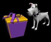 binky_sniffing_present_lc.gif
