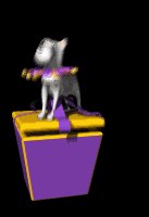 binky_pushing_box_down_mb.gif