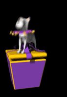 binky_pushing_box_down_lb.gif