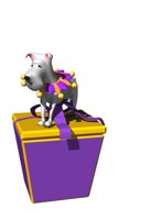 binky_pushing_box_down.jpg