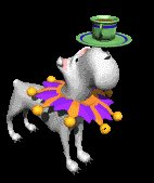binky_balancing_teacup_lc.gif