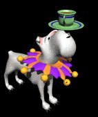 binky_balancing_teacup_lb.gif