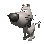 big_headed_tiny_dog_w_a_tc.gif