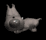 big_headed_tiny_dog_s_a_tb.gif