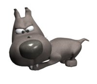 big_headed_tiny_dog_s_a_hr.jpg