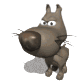 big_headed_tiny_dog_l_a_sw.gif