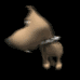 big_headed_tiny_dog_c_a_sb.gif