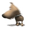 big_headed_tiny_dog_c_a_mw.gif