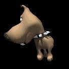 big_headed_tiny_dog_c_a_lc.gif