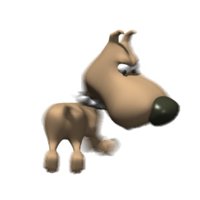 big_headed_tiny_dog_c_a_hr.jpg
