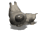 big_headed_tiny_dog_b_tw.gif