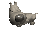 big_headed_tiny_dog_b_tc.gif
