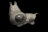 big_headed_tiny_dog_b_tb.gif