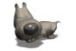 big_headed_tiny_dog_b_sw.gif
