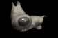 big_headed_tiny_dog_b_sb.gif