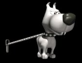 big_headed_tiny_dog_b_a_lb.gif