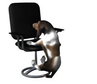 bassethoundstruggle_hr.jpg
