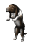 bassethoundbegging_sc.gif