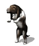 bassethoundbegging_lw.gif